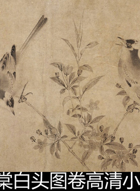 DOA宋代佚名海棠白头图卷高清小图素材资料参考1 204MB TIF格式