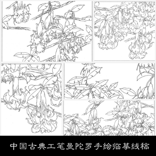 NM中国古典工笔曼陀罗手绘临摹线稿素材图库18 48.6MB JPG格式