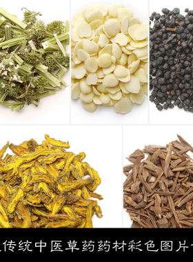 MX80款传统中医草药药材彩色图片素材资料精选83 37.3MB JPG格式