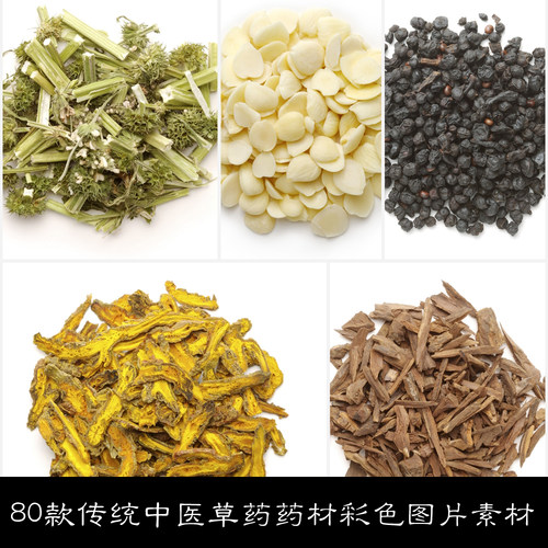 MX80款传统中医草药药材彩色图片素材资料精选83 37.3MB JPG格式