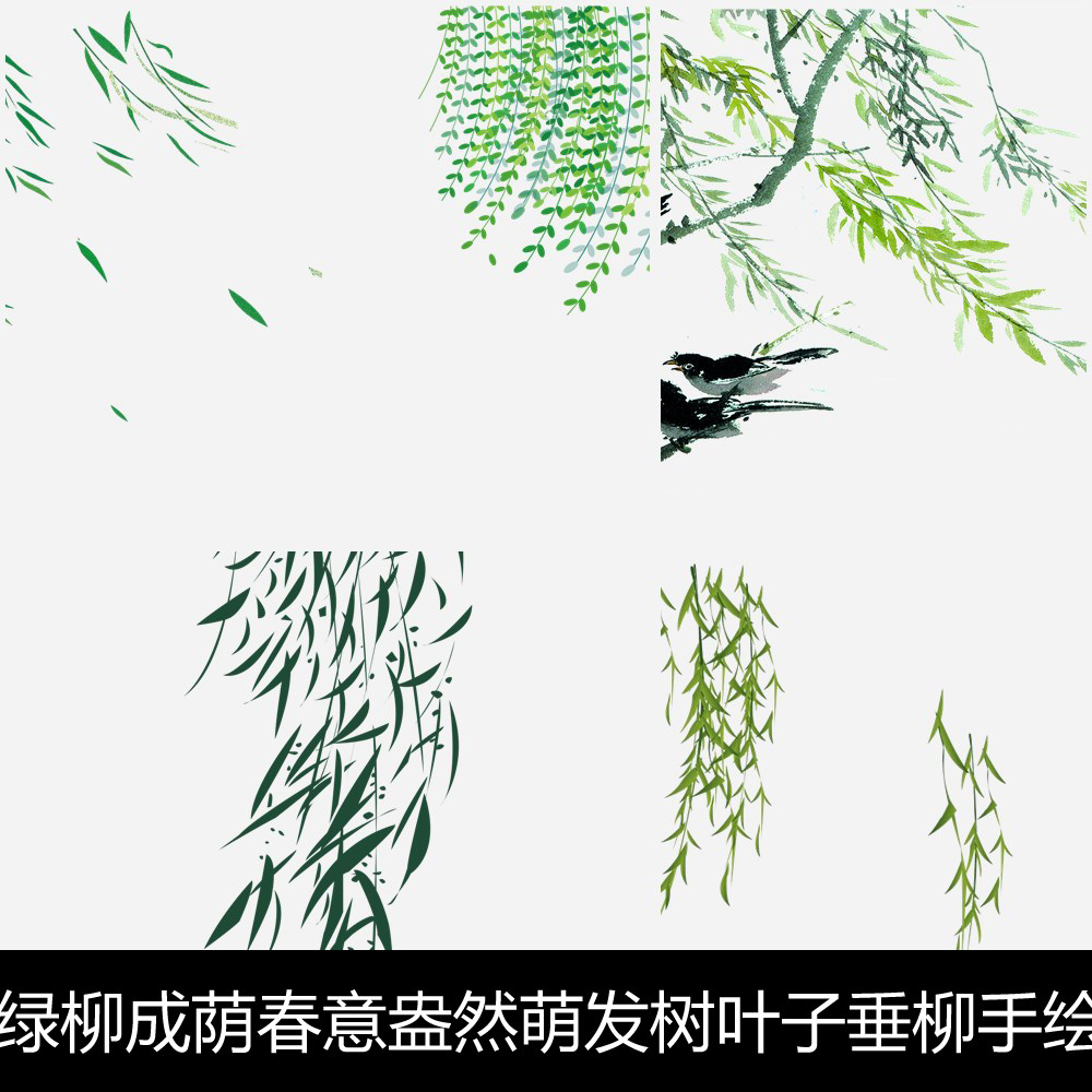 xb绿柳成荫春意盎然萌发树叶子垂柳手绘设计元素png素材资料资料