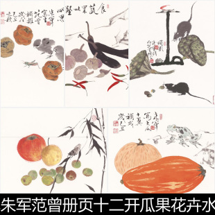 AOW近现代朱军范曾册页十二开瓜果花卉水墨国画高清精品素材资料