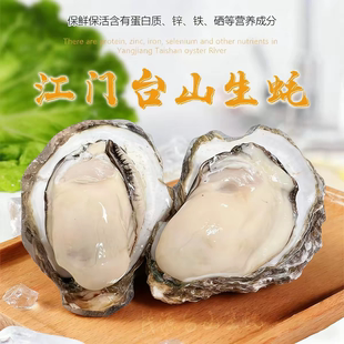 广东正宗台山生蚝肉去壳鲜活特大肥美海鲜产地直供新鲜水产牡蛎肉