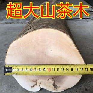 超大油茶木山茶木刀柄料刀把木锤柄斧木把木工凿凿柄油茶木原茶树