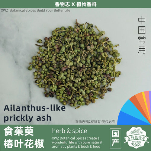 椿叶花椒ilanthus-like prickly ash