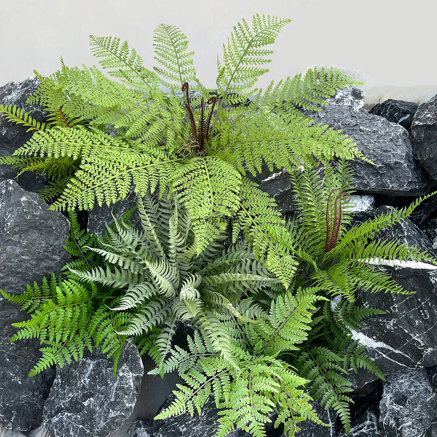 仿真绿植蕨类植物霸王蕨波斯草肾蕨大叶蕨草室内软装造景装饰假草