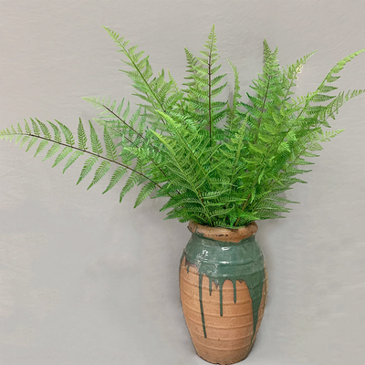 高仿真绿植马耳蕨马尾蕨室内造景装饰盆栽热带雨林蕨类植物波斯草
