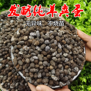 纯羊粪蛋颗粒羊粪发酵有机肥料蔬菜专用瓜果树种菜花卉腐熟农家肥