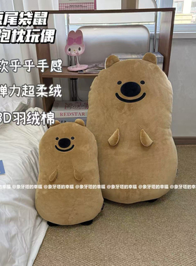 可爱卡通软乎乎柿子小熊抱枕卧室床头陪睡玩偶靠枕少女心玩偶礼物