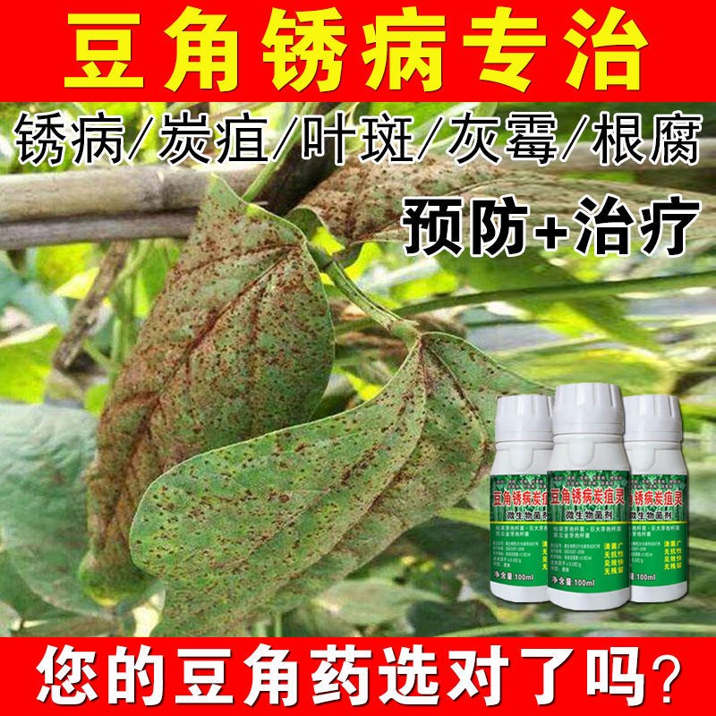 豆角豇豆专用药豆角病全治豆角病全杀根腐病疫病绣病叶霉病枯萎病