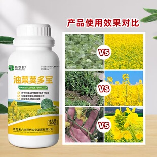 油菜夹荚多宝水溶肥提高干粒度高出油率分支成倍增加粒粒饱病菌请