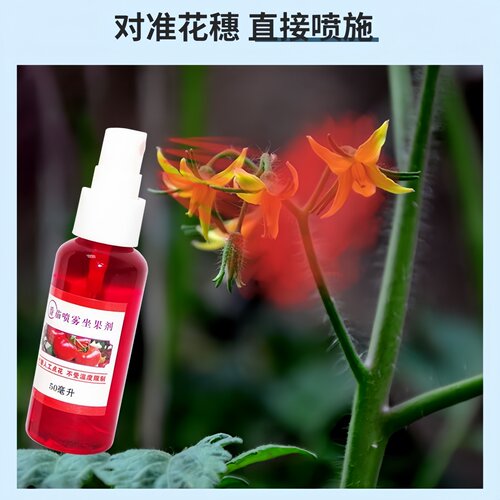 番茄西红柿专用喷花授粉药坐果灵