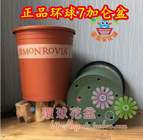 环球正品7加仑盆 超大抗老化耐用藤本月季蔷薇铁线莲花盆