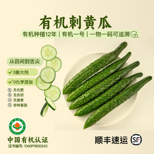 新鲜蔬菜黄瓜有机无农残榨汁生食