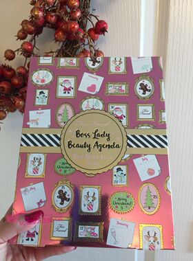 现货包邮 折TOO FACED Boss LadyBeauty Agenda记事本眼影27色眼