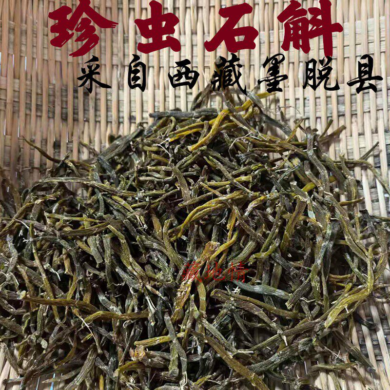 100克包邮 西藏墨脱县产珍虫石斛 胶质特别好 珍虫石斛 入口即化