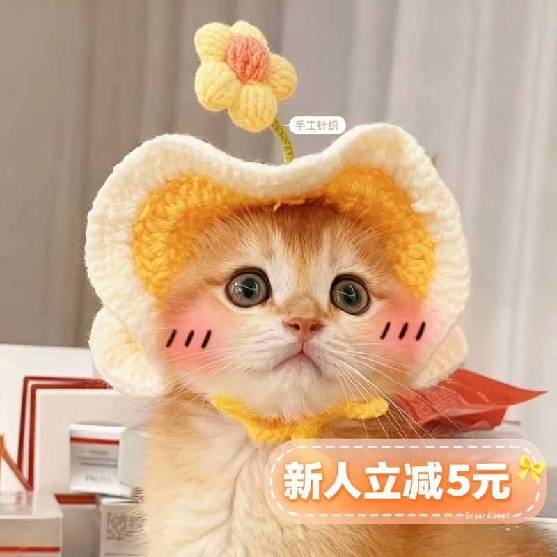 冬宠物宠物可爱帽子帽檐英短装扮