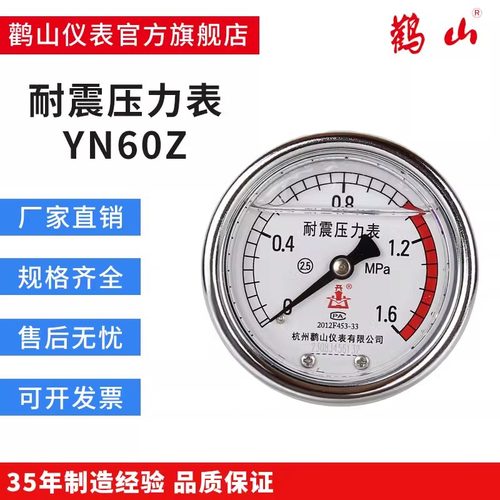 杭州鹳山轴向耐震压力表YN60Z