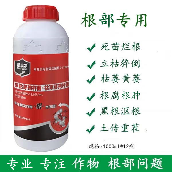 根腐净草莓芹菜大姜根腐病根肿死苗烂根专用黑根枯黄萎微生物菌剂