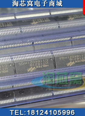 HT1621B HT1621 SSOP48 LCD液晶 驱动器IC 原装正品【淘芯窝】