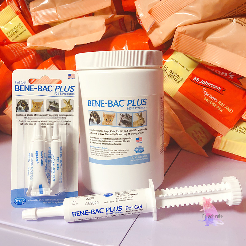 11鼠宝花枝进口petag调节肠胃