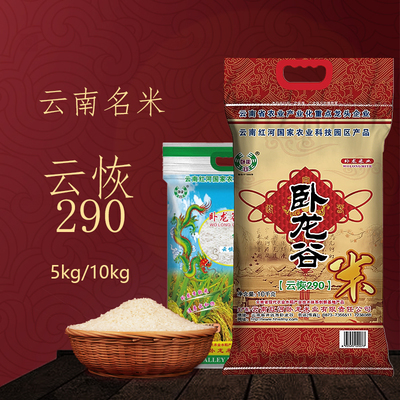 25新米云南特产云恢米云辉云灰银灰云恢290香软长粒香米二级籼米