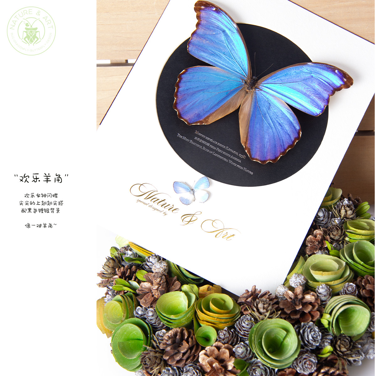 鳞翅秘境专注展厅装裱收藏工艺