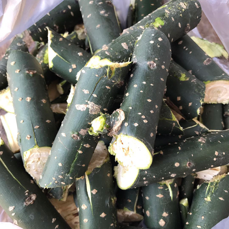 中药材新鲜槐树枝新鲜国槐树枝野生现采槐树枝熏洗坐月子外洗药浴