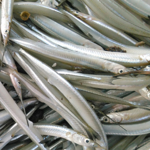 水库淡水新鲜好多九州500g杂鱼