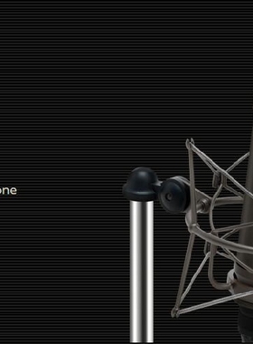 Microtech Gefell M990 大振膜 电子管麦克风