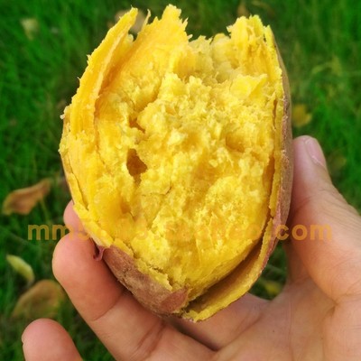 斤装特产香甜鸡蛋黄山芋爆皮王