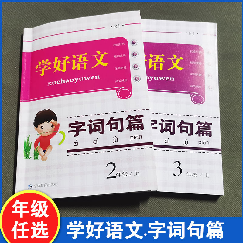 字词句篇学好语文小学生