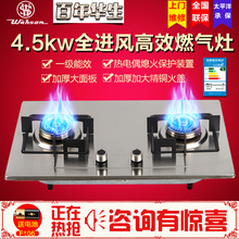 Wahson 天然气灶液化气灶具 F205大面板煤气灶双灶家用嵌入式 华生