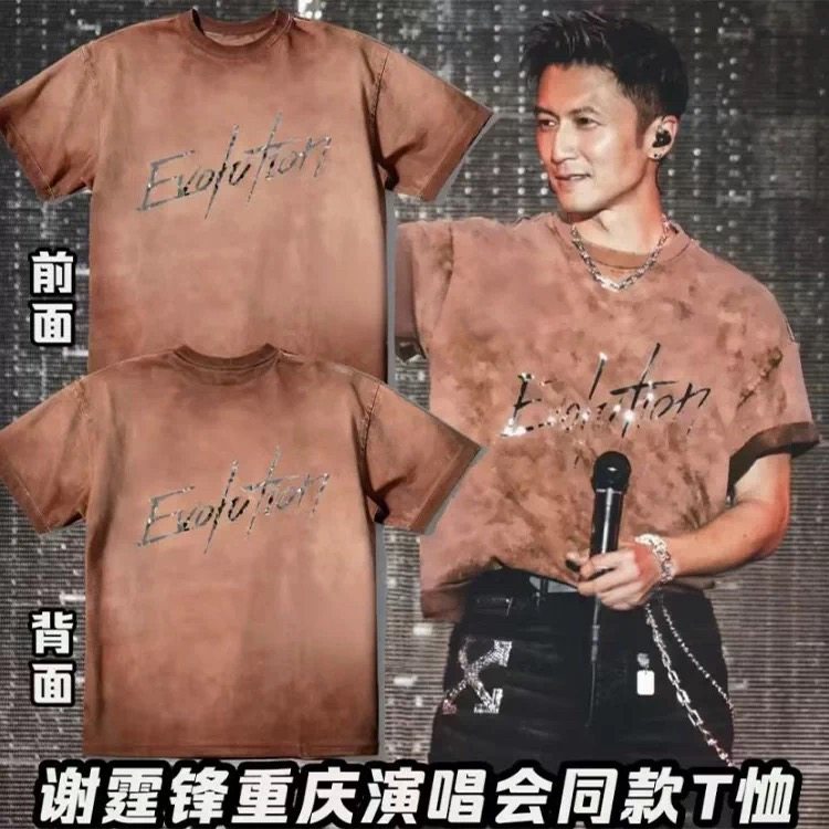 谢霆锋2025重庆演唱会同款水洗咖色反光英文印花短袖T恤男女同款