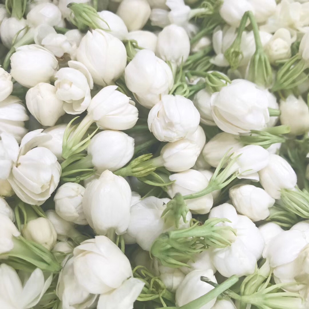 [Jasmine Flower Dew] It does not contain a drop of water Hypothermia Extraction Than Hydrosol  Level Replenish water 100MLin the Skin Care/Body/Essential oils , Aromatherapy essential oils , Hydrosol/Flower water  category - from Buy2taobao.com to provide professional Taobao agent buy service