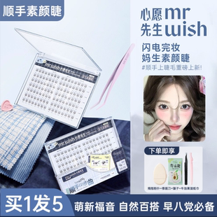 Mr.wish 妈生自然免胶假睫毛自然仿真清透 心愿先生顺手素颜睫短款