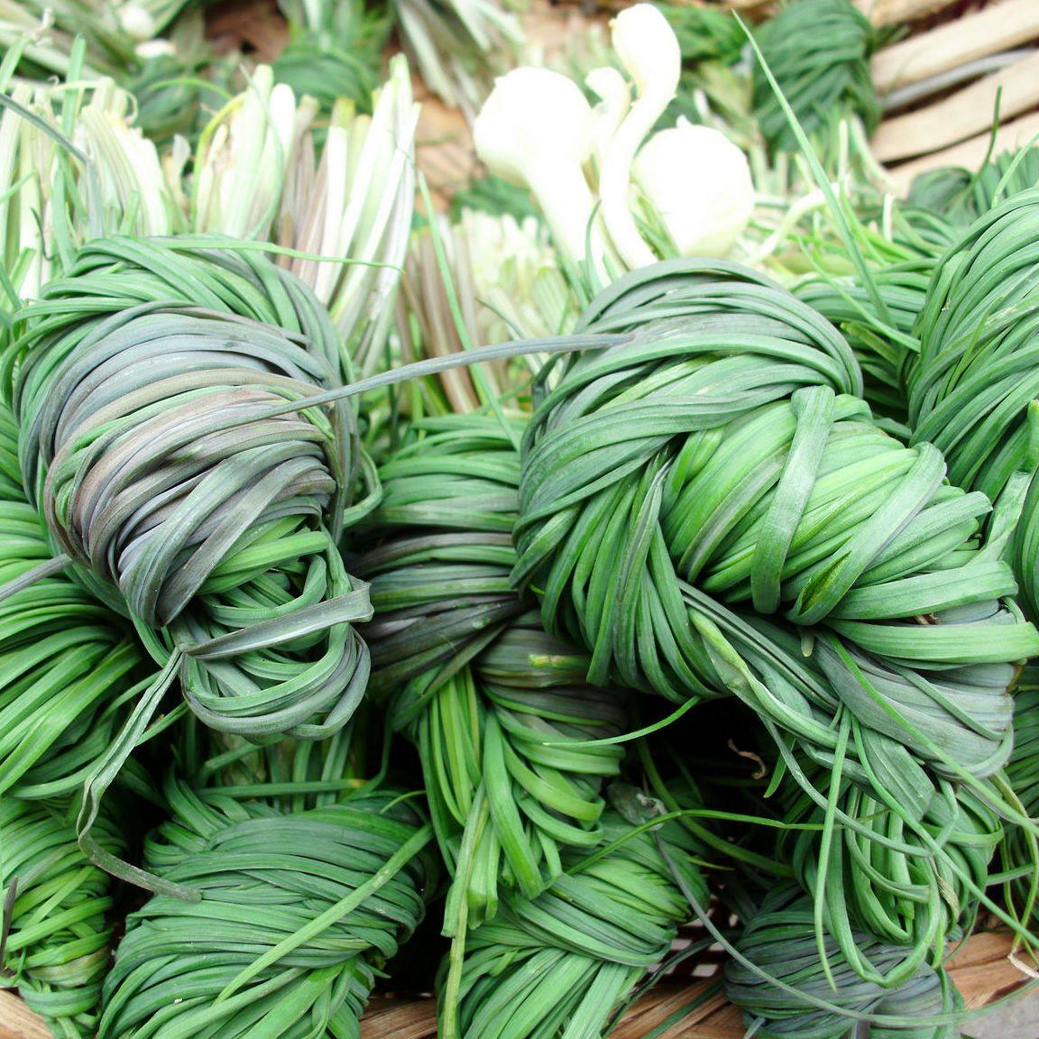 野葱新鲜湖南溆浦山城特色食品