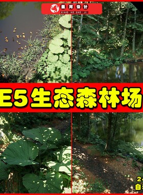 UE5 Beech Forest Ecosystem 热带雨林生态树林植物森林场景5.2