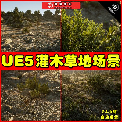 UE5 MW Shrubs and Bushes 草丛灌木植物石头植被场景5.0
