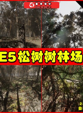 UE5 Pine forest - Photogrammetry based High poly松树树林场景