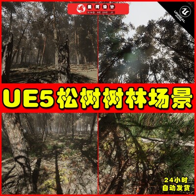 UE5 Pine forest - Photogrammetry based High poly松树树林场景