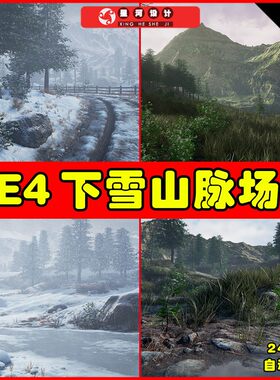 UE4UE5 Procedural Nature Seasons Pack 冬季下雪山脉环境场景