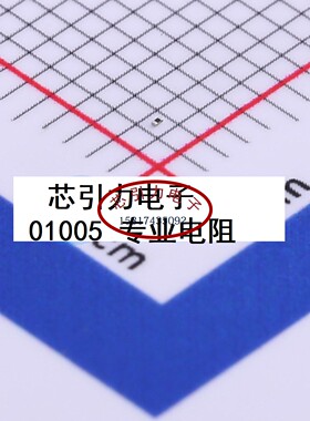 01005 200k R Ω ±5% 31.25mW  贴片厚膜电阻 RC-005L204JT