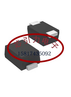 LRB521CS-30T5G SOD-923 肖特基二极管 线上商场 现货可直拍