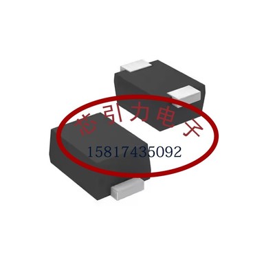 RB751CS-40T2R SOD-923 肖特基二极管 线上商场 现货可直拍