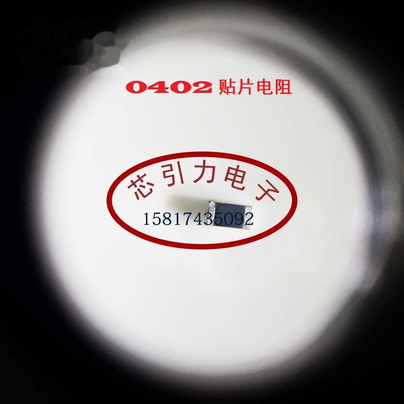 0402  3k R Ω ±5% 62.5mW  贴片电阻 RC-02W302JT 现货可直拍