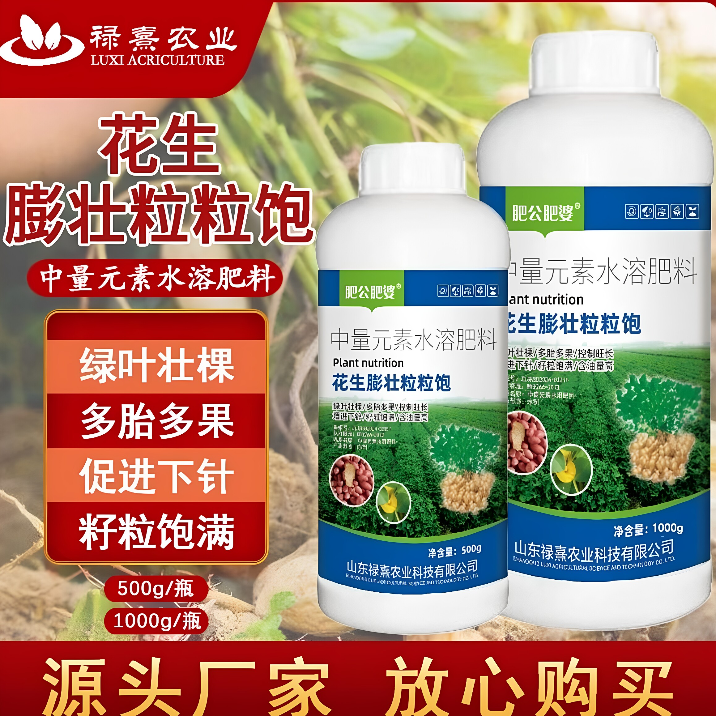 花生膨壮粒粒饱正品专用膨大素膨叶面肥