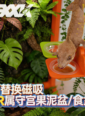 FXXK原创设计R属睫角守宫磁吸果泥盆/水盆爬缸造景丰荣