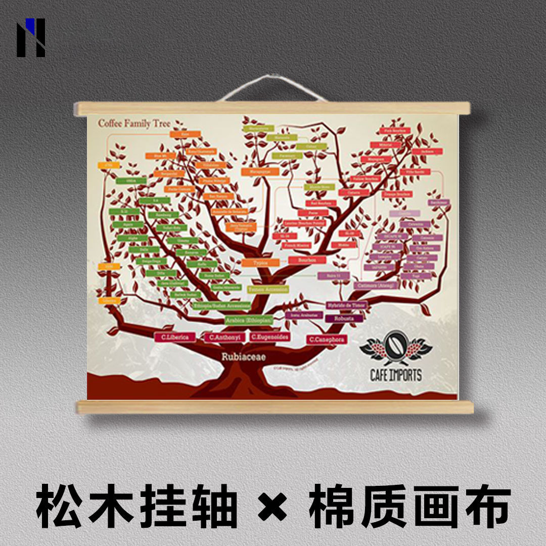 SCAA咖啡风味轮世界豆带咖啡原产地全球分类INS墙面挂画咖啡海报