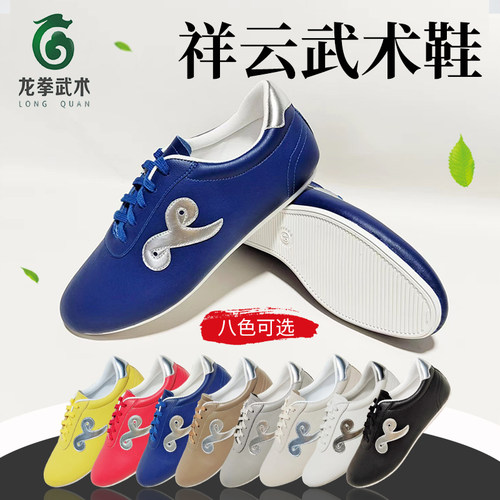 龙拳竞技训练彩色皮武术鞋太极鞋